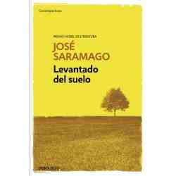 Levantado del suelo