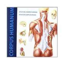 Atlas del cuerpo humano