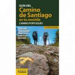 El Camino de Santiago en tu...