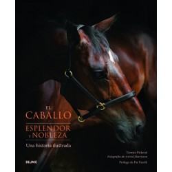 El caballo. Esplendor y...