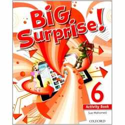 Big Surprise! 6. Activity...