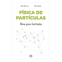 Física de partículas