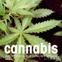 Cannabis