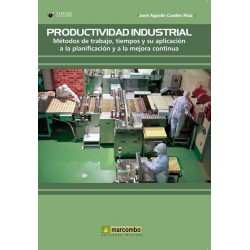 Productividad industrial