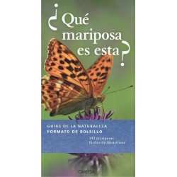 ¿QUE MARIPOSA ES ESTA?