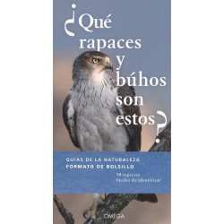 ¿QUE RAPACES Y BUHOS SON...