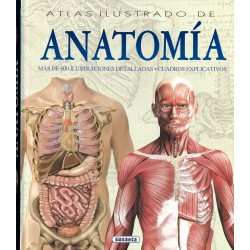 Anatomía