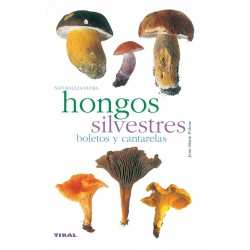 Hongos silvestres. Boletos...