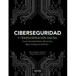 Ciberseguridad y...