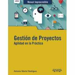 Gestión de Proyectos....