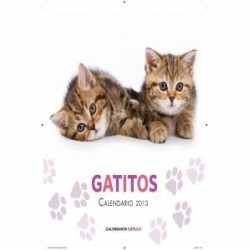 Calendario Gatitos 2013